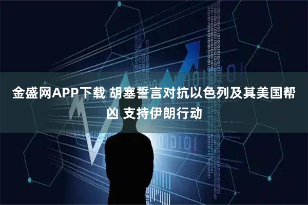 金盛网APP下载 胡塞誓言对抗以色列及其美国帮凶 支持伊朗行动