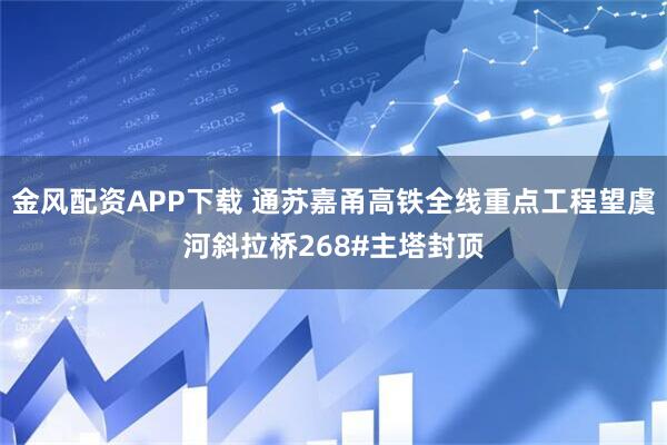 金风配资APP下载 通苏嘉甬高铁全线重点工程望虞河斜拉桥268#主塔封顶